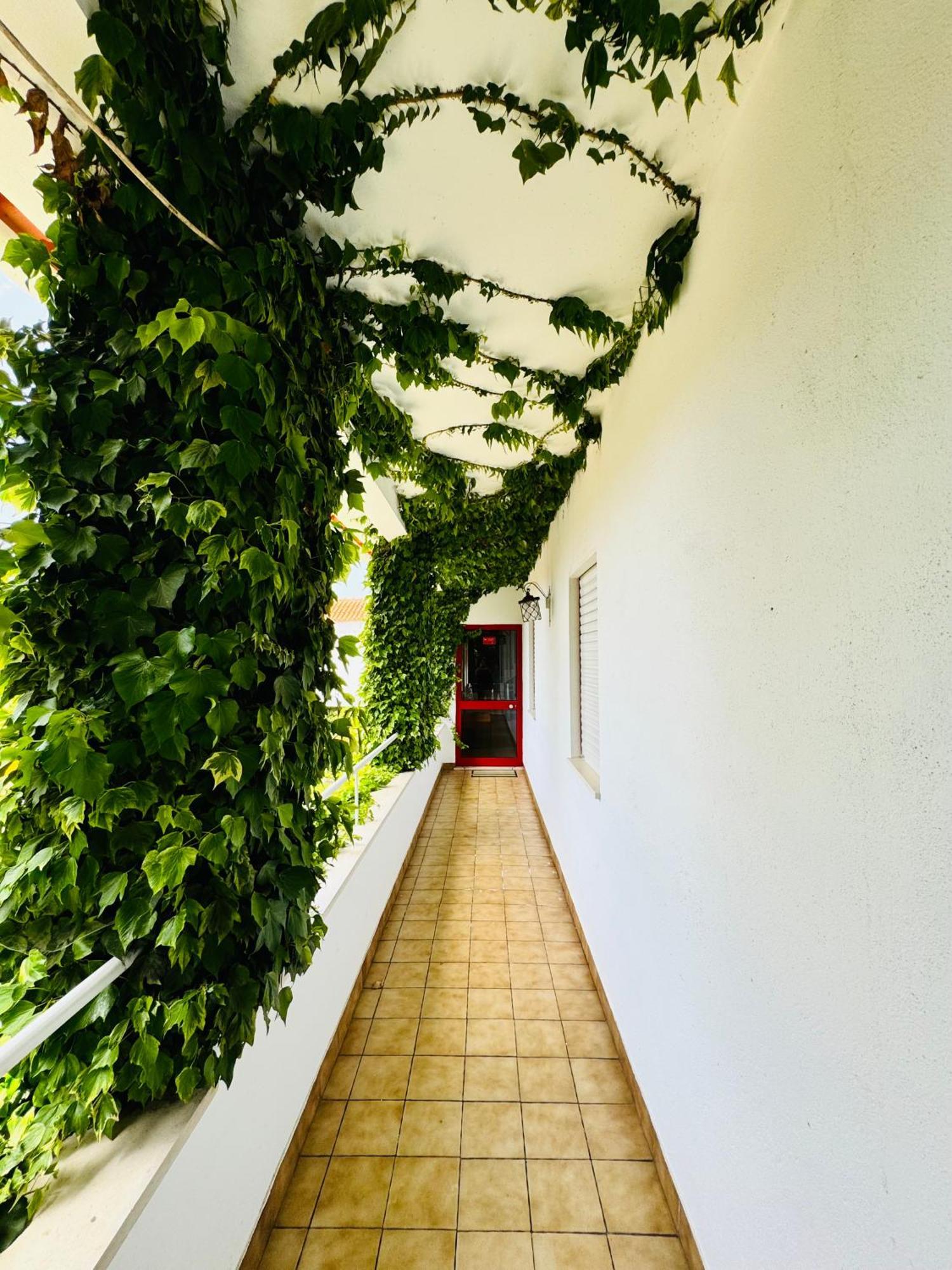 Nature & Beach Guest Rooms, Aldeamento Turistico Do Camarido Cristelo  Exterior foto